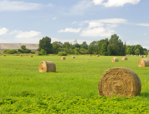 Kus on kõige kallim ja kus kõige odavam põllumaa Eestis?
