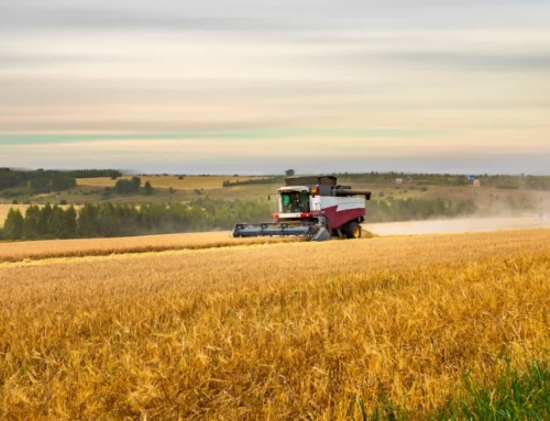 Haritava maa hind on saavutanud rekordtaseme – õige aeg müüa põllumaad?